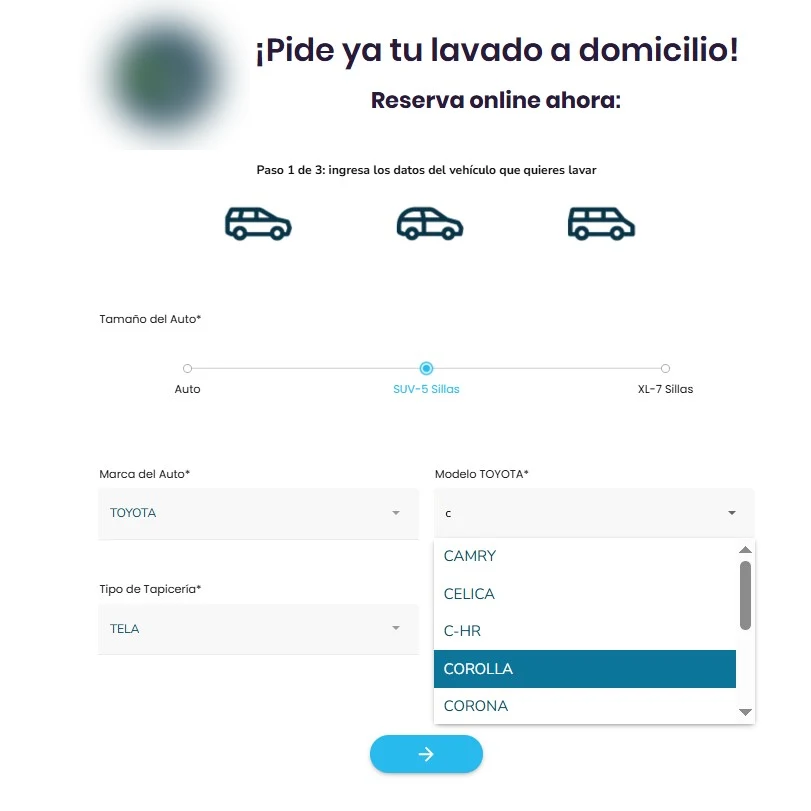 Paso 1 del sistema de reservas: el cliente ingresa los datos del vehículo que quiere lavar